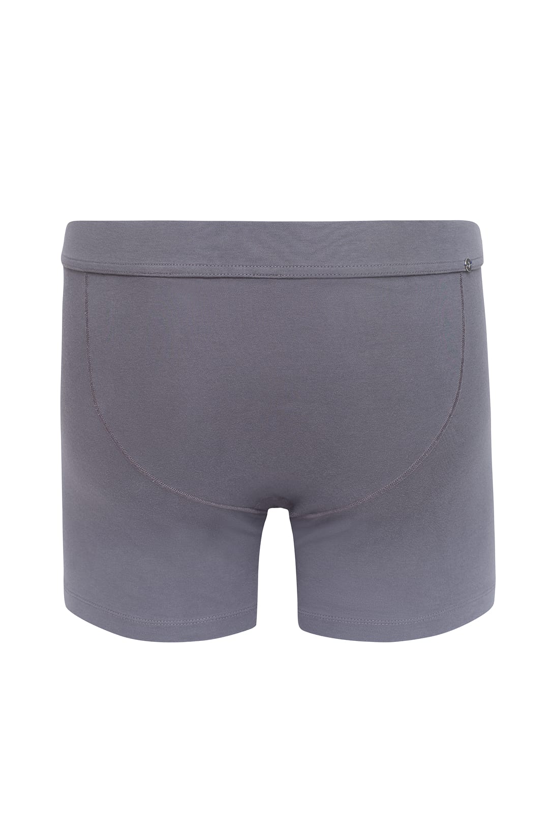 Genesis Boxer Briefs Shale