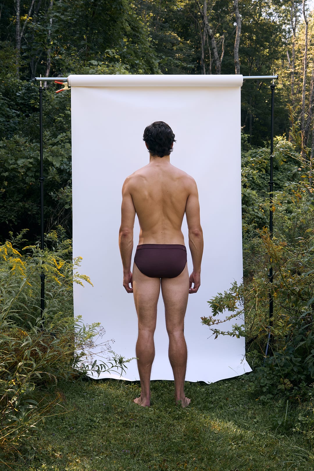 Genesis Briefs Clay