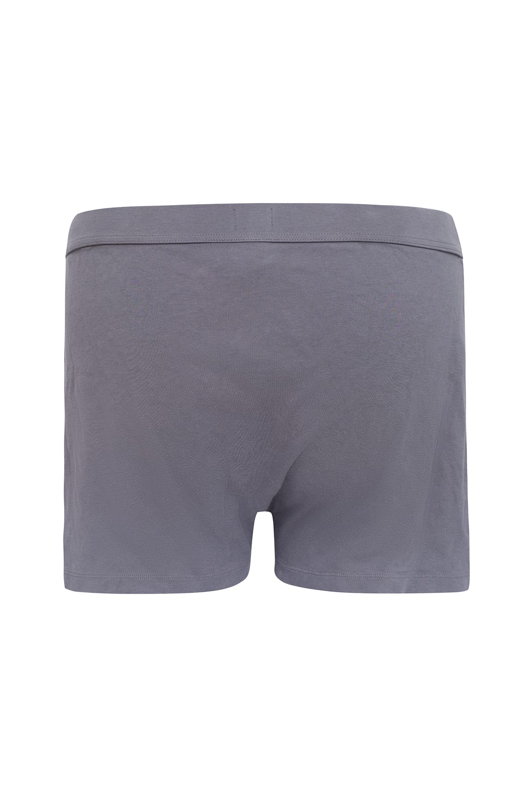 Genesis Boxer Shorts Shale