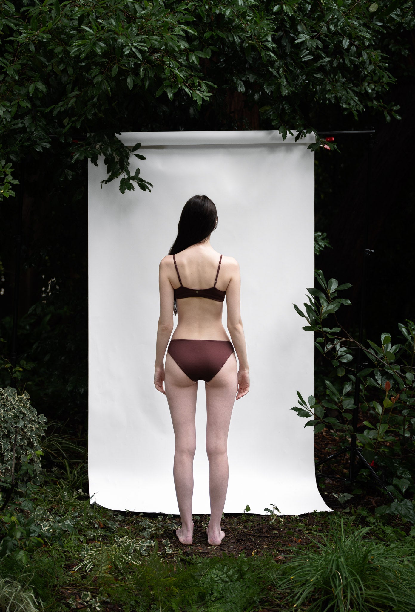 Genesis Womens Brief Clay