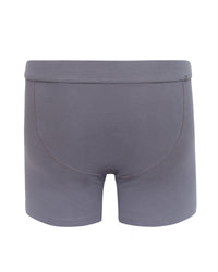 Shale | EDN Genesis men's boxer briefs rear view product, organic cotton