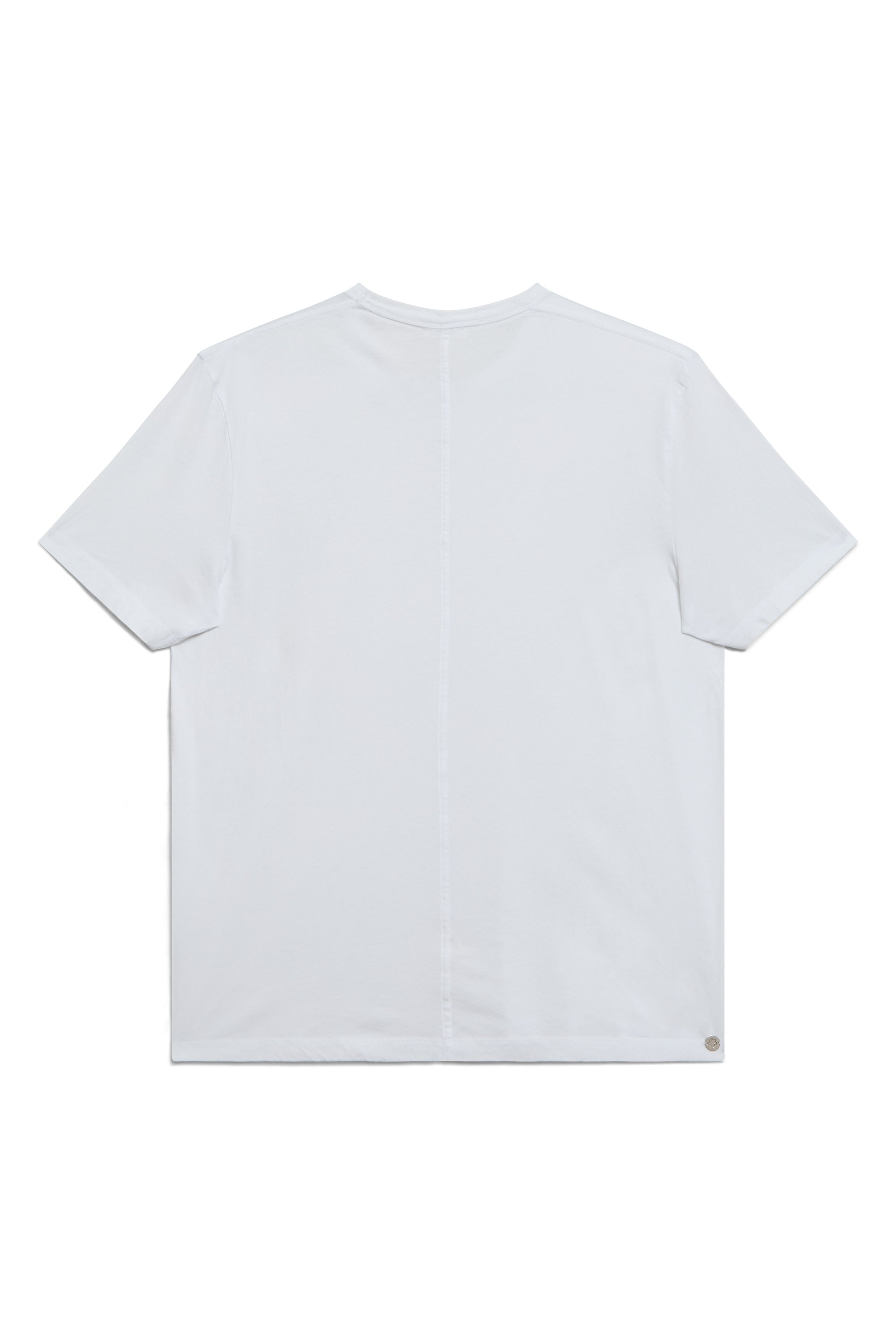 Alabaster | EDN Genesis mens t-shirt product rear view, organic cotton